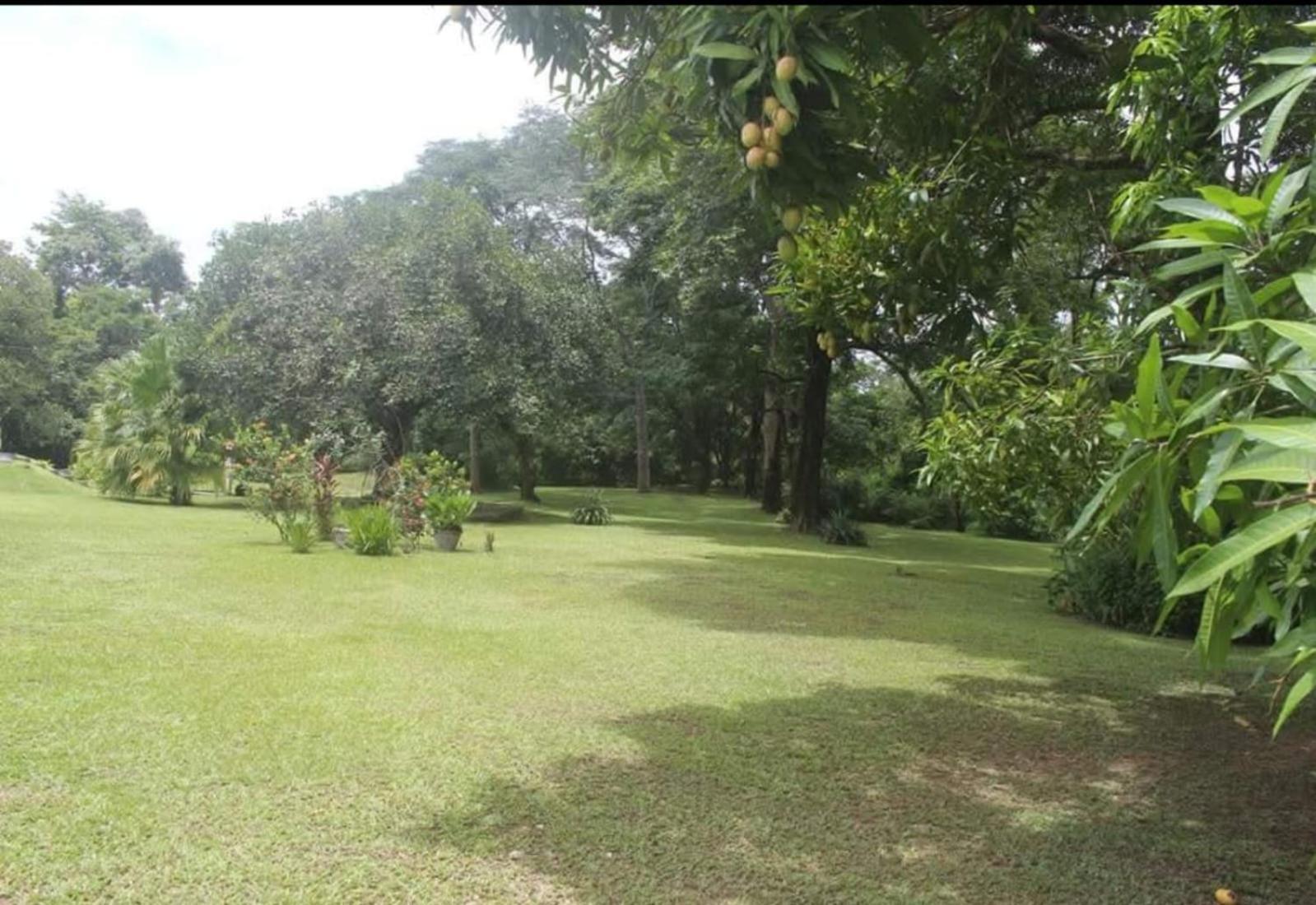 Chacara Aluguel Recanto Eco Vida Campsite *